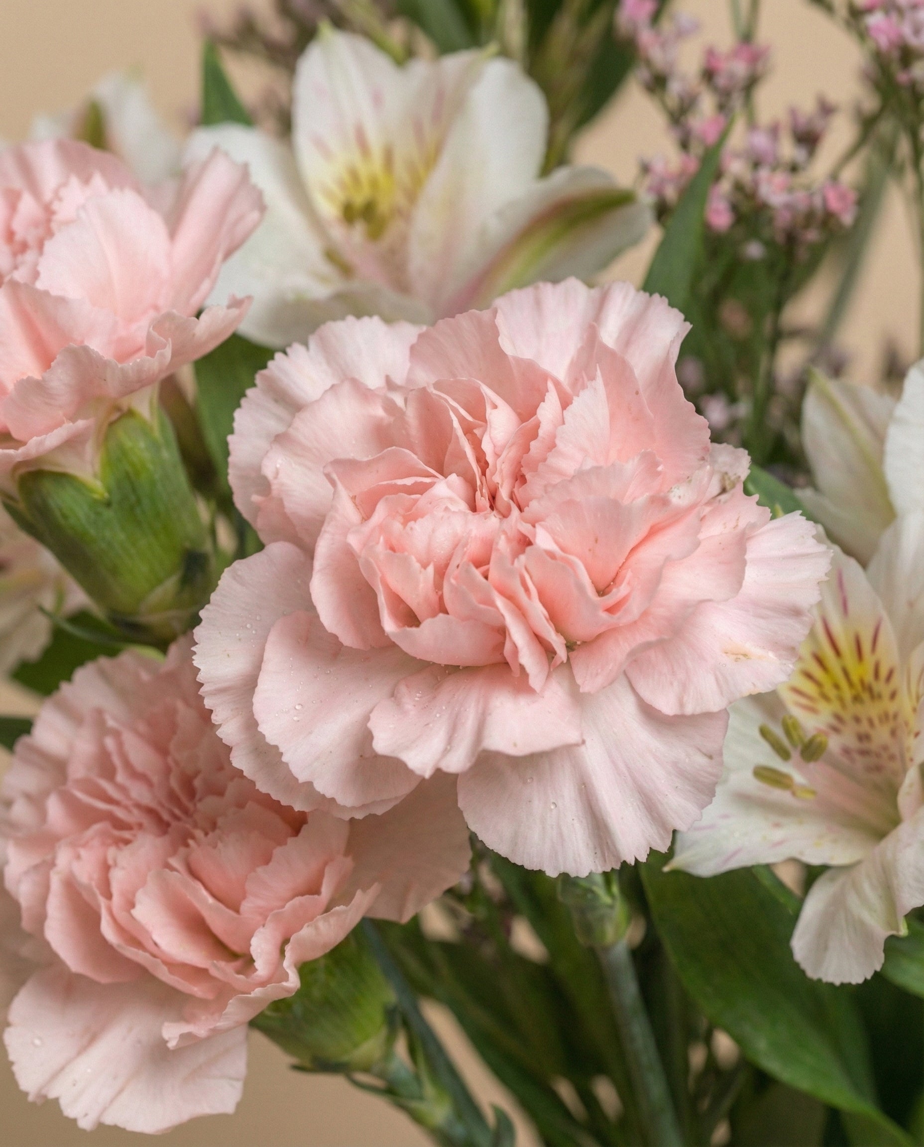 feey-umarmung-blumenstrau-alstroemeria-dianthus image 2