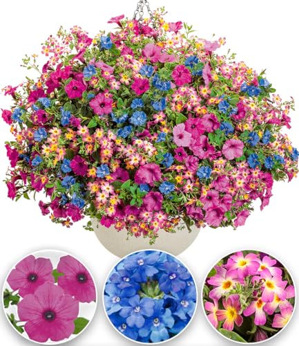 baldur-garten-candy-stick-mix-3er-sommerblumen-10-5-cm-topf image 2