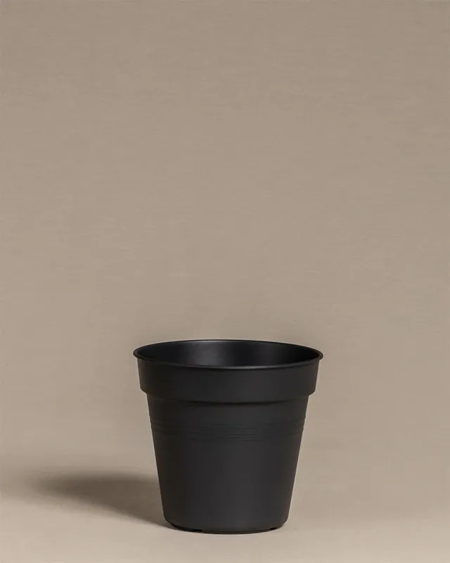feey-innentopf-15-cm-kunststoff-mit-abtropfl-chern image 1