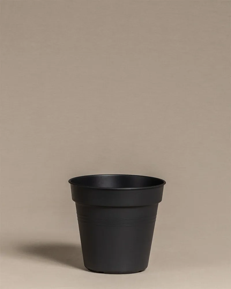 feey-innentopf-15-cm-kunststoff-mit-abtropfl-chern image 1
