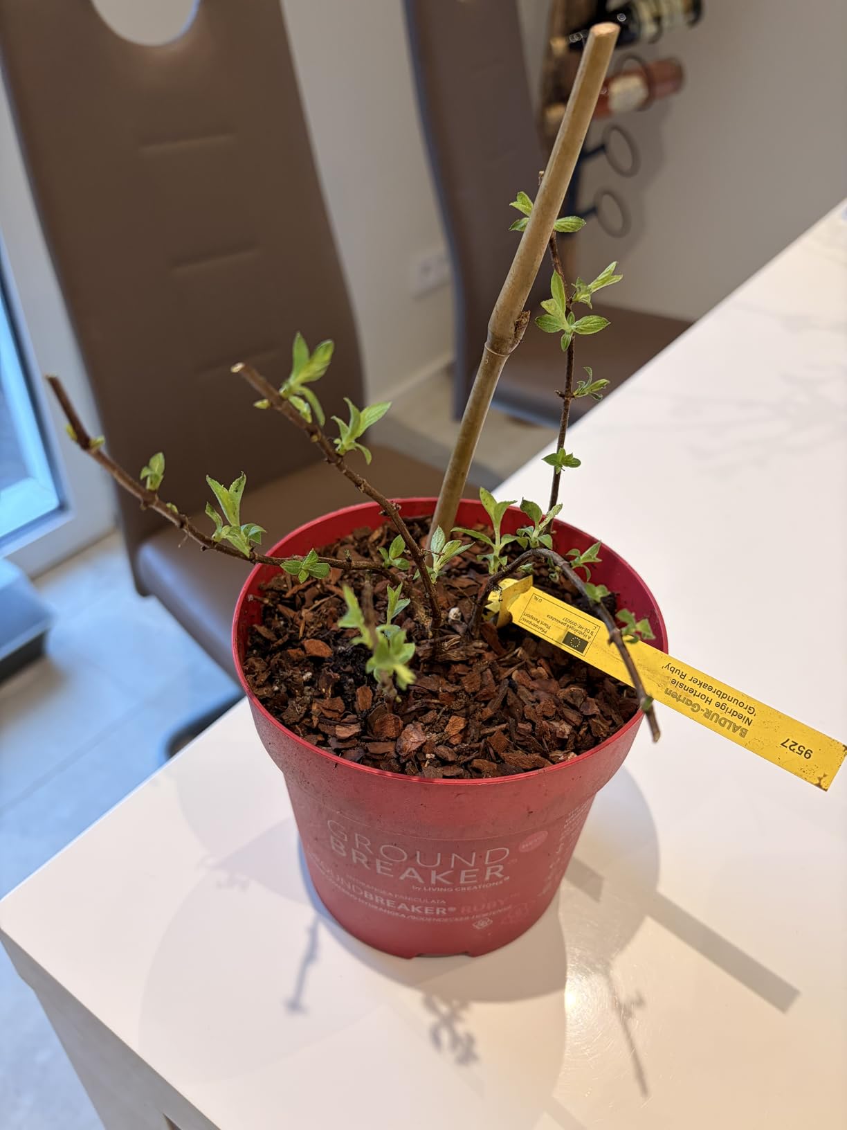 Tolles Rubinrot