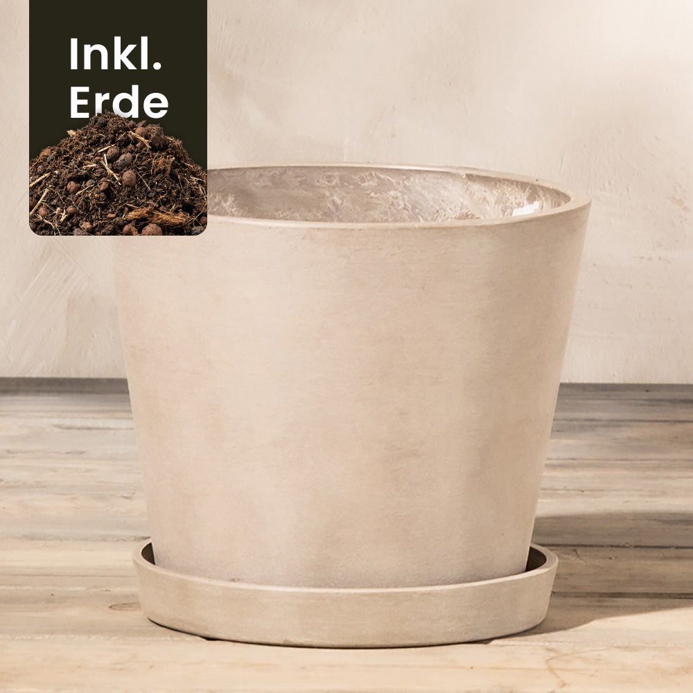 feey-pflanzk-bel-amsterdam-20-cm-kunststoff-mit-drainage image 5