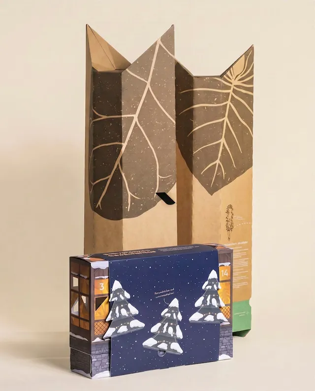 feey-abendblau-adventskalender-pflanzen-produkte-1-2-lebendpflanzen-pflege image 1