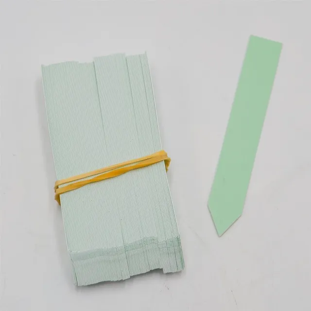 pasiora-stecketiketten-mint-100-st-ck-pflanzenstecker-zubeh-r image 1