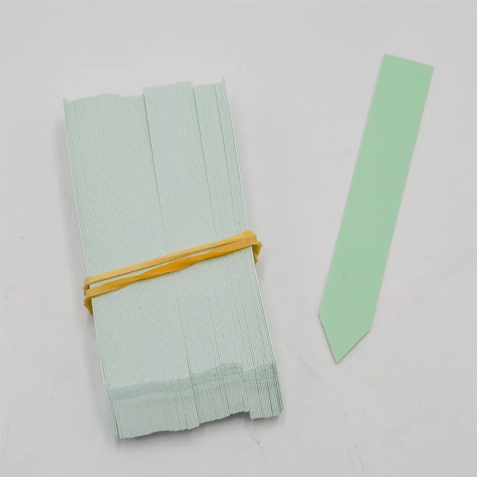 pasiora-stecketiketten-mint-100-st-ck-pflanzenstecker-zubeh-r image 1