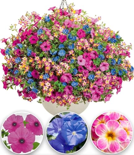 baldur-garten-candy-stick-mix-9er-set-im-10-5-cm-topf image 2