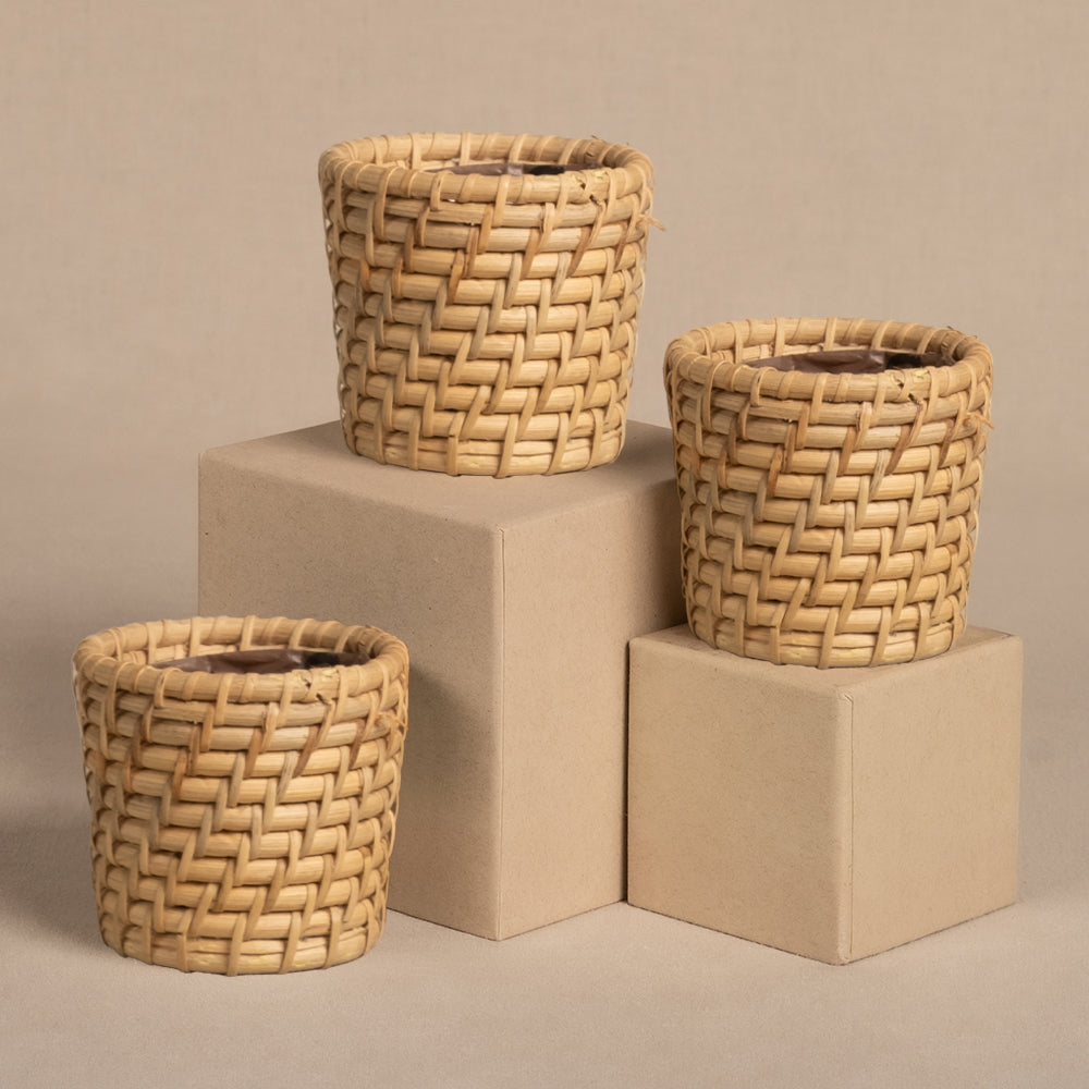 feey-rattan-babypflanzen-korb-calen-3-stk image 3