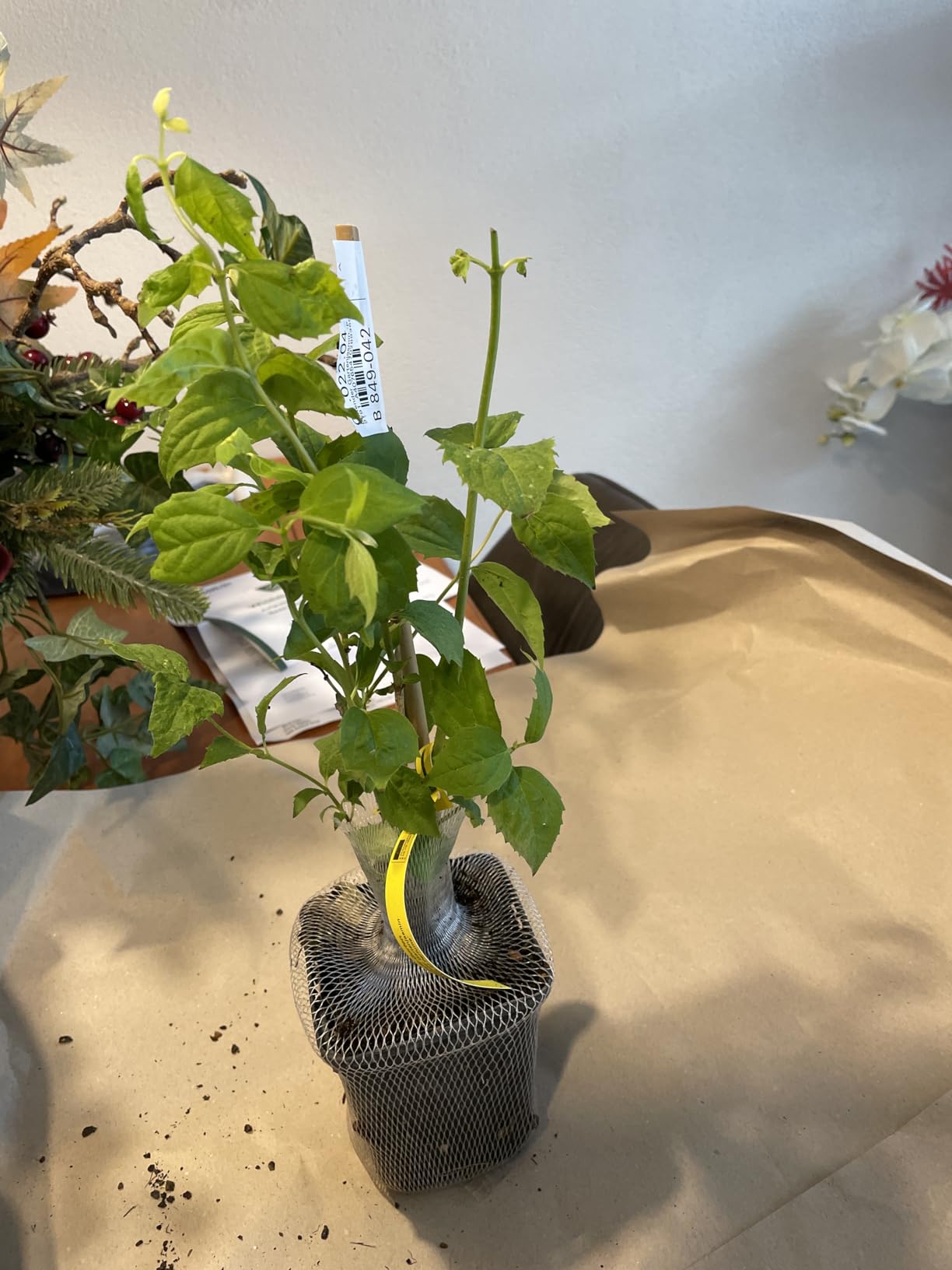 Kompakt und gesund