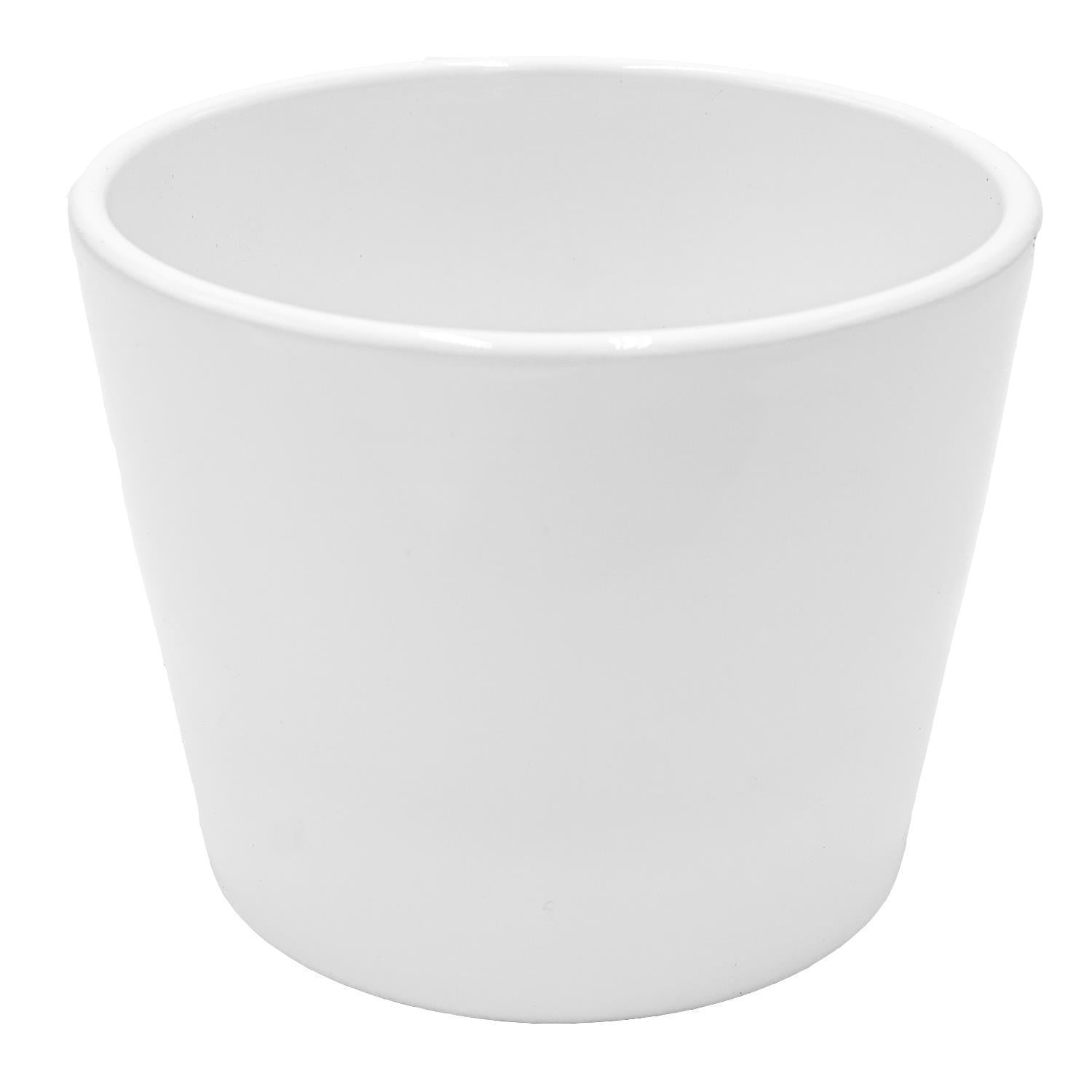 pasiora-bertopf-wei-f-r-12cm-sukkulenten image 1
