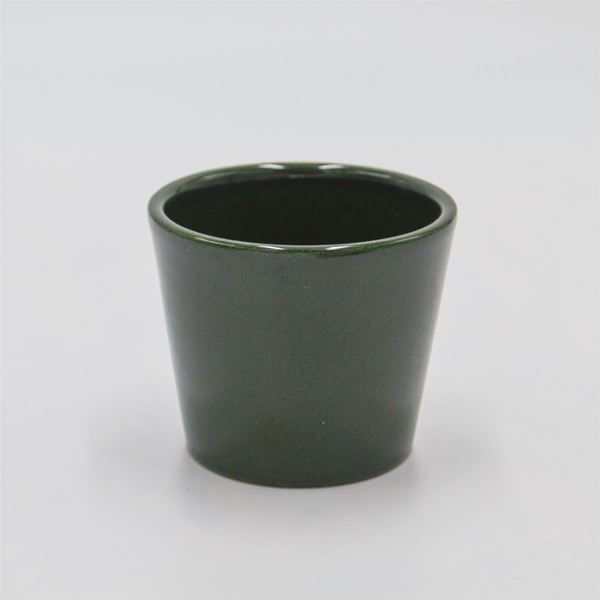 pasiora-bertopf-tannengr-n-f-r-6cm-sukkulenten image 1