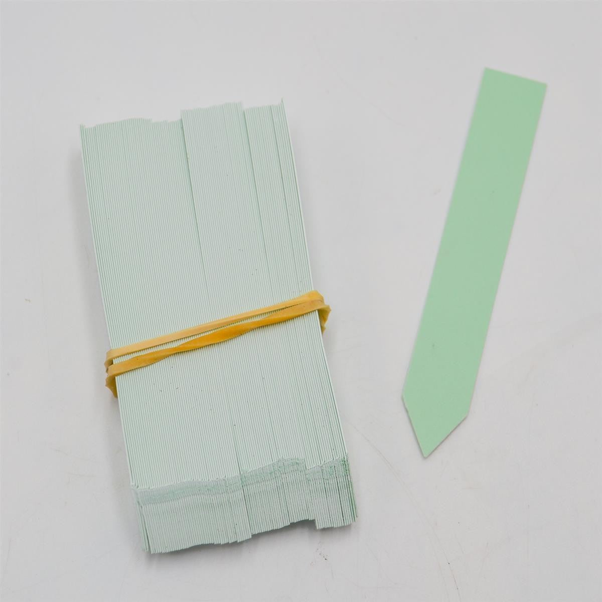 pasiora-stecketiketten-mint-100-st-ck-pflanzenstecker-zubeh-r image 1