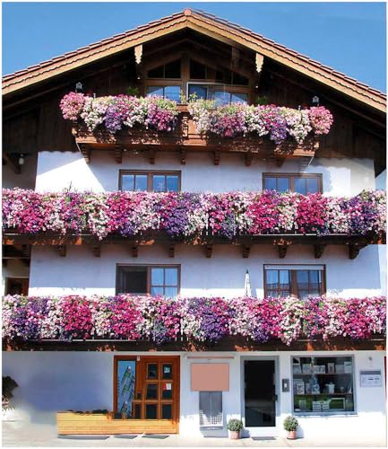 baldur-garten-h-nge-petunien-alpetunia-kollektion-9-pflanzen image 6