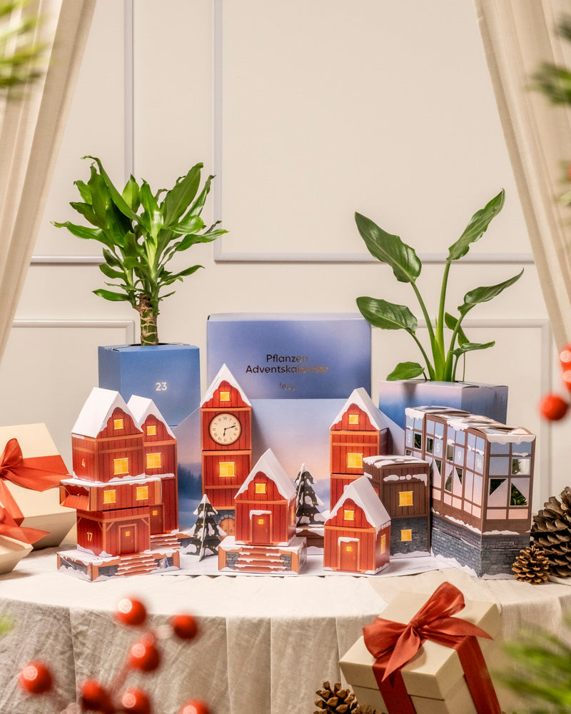 feey-pflanzen-adventskalender-winterdorf-im-morgenrot image 4