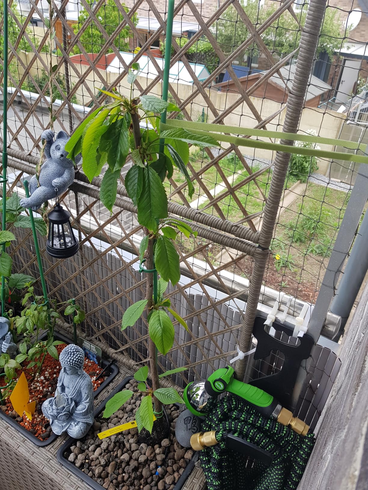 Ideal für kleinen Balkon