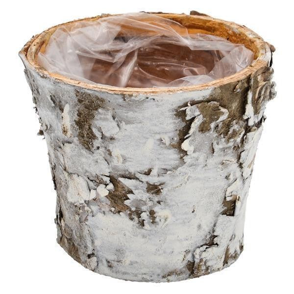 pasiora-bertopf-birke-7cm-f-r-6-5cm-sukkulenten image 1