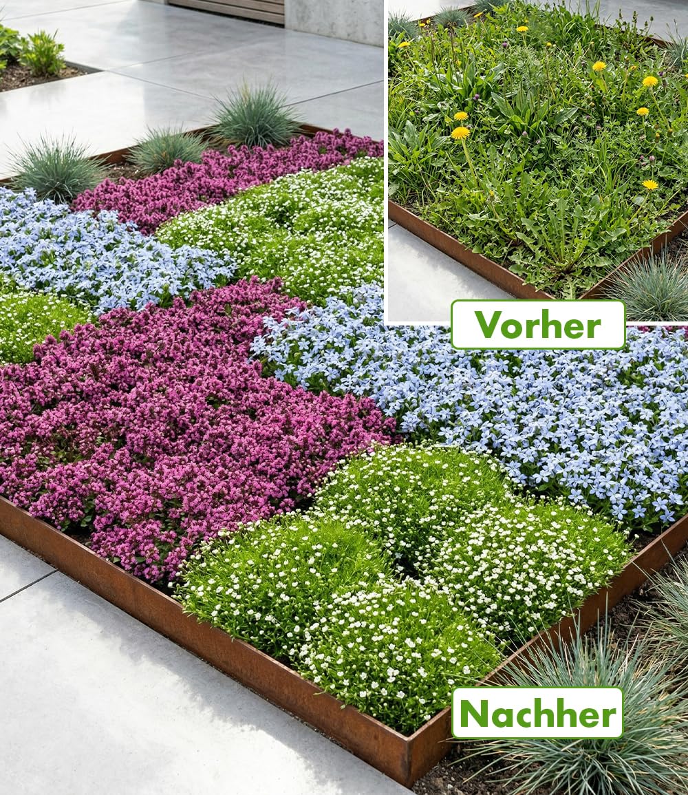 baldur-garten-bodendecker-set-gegen-unkraut-9er image 3