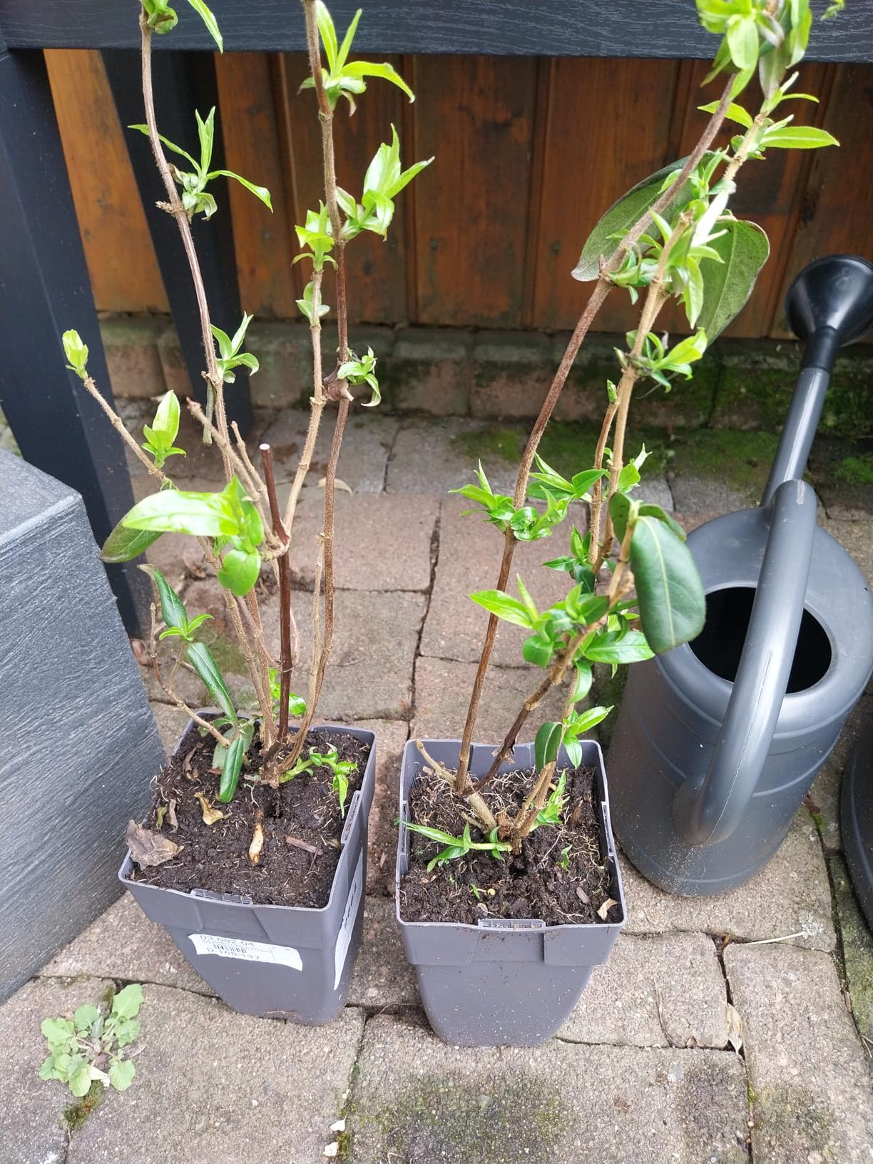 Bleibt schön grün