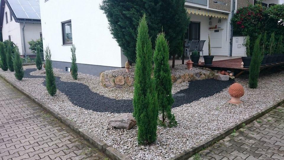 Eine mickert