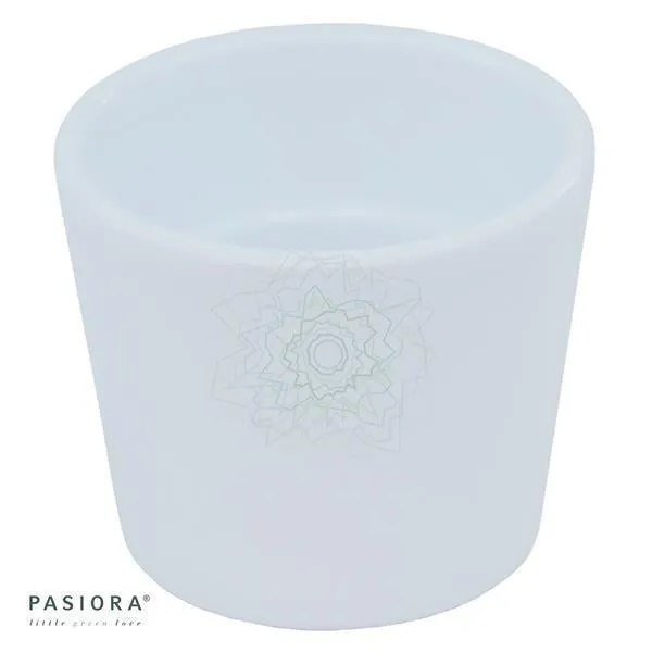 pasiora-bertopf-wei-f-r-6cm-sukkulenten-7cm image 1