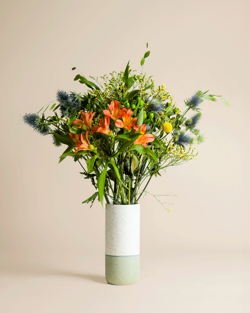 feey-erfolgsgeheimnis-blumenstrau-mit-craspedia image 4