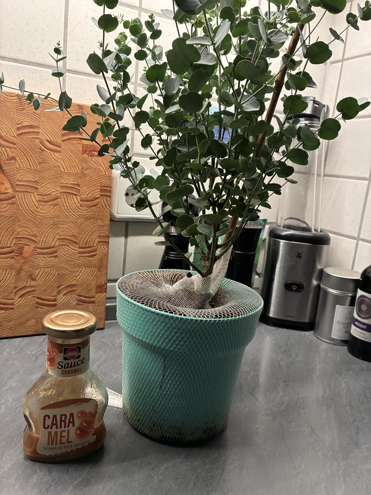 Schöne Pflanze, gut verpackt
