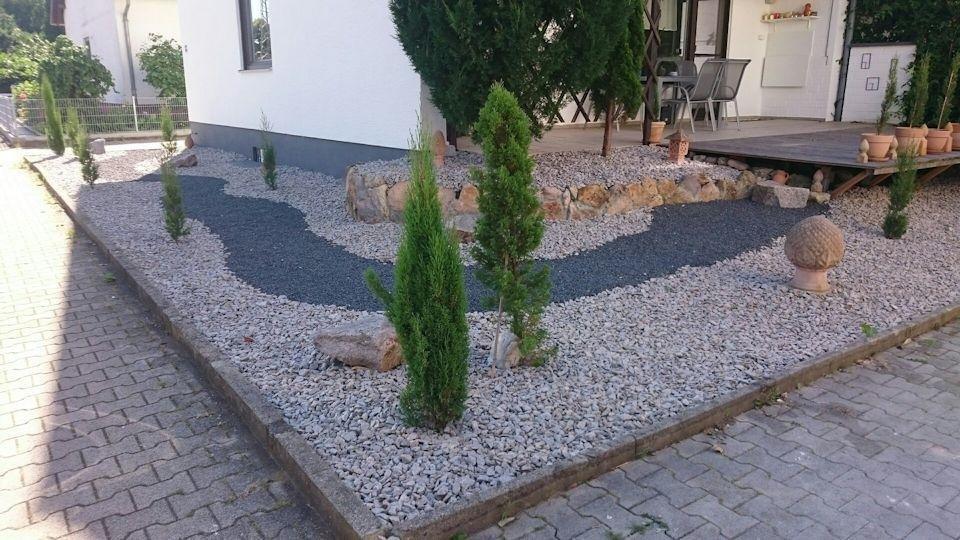 Schneller Versand