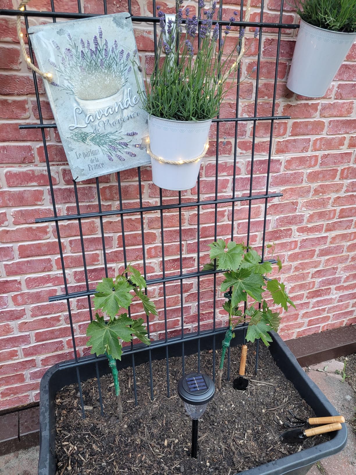 Gesund angekommen
