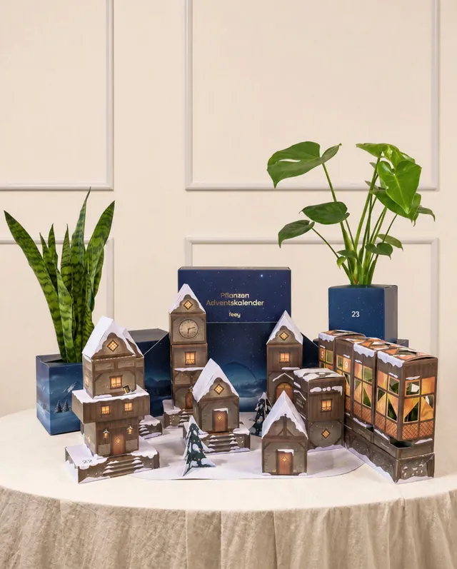 feey-pflanzen-adventskalender-winterdorf-im-abendblau image 1
