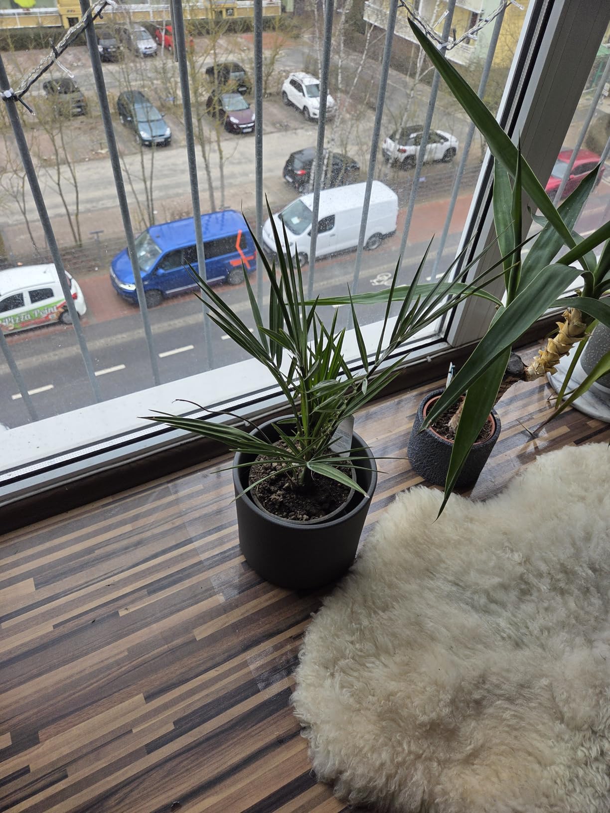 Urlaubsfeeling auf dem Balkon