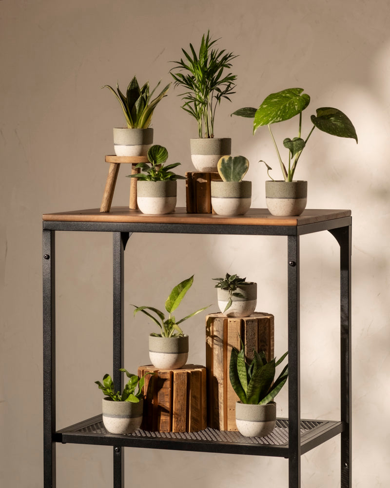 feey-keramik-baby-topfset-variado-9-stk image 3