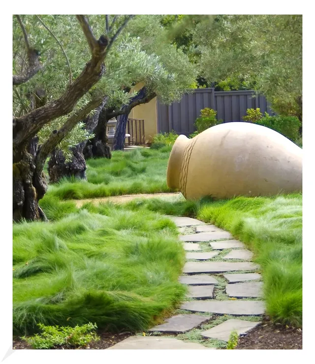 baldur-garten-gr-ser-teppich-carex-remota-3-pflanzen-im-9x9-cm-topf image 1