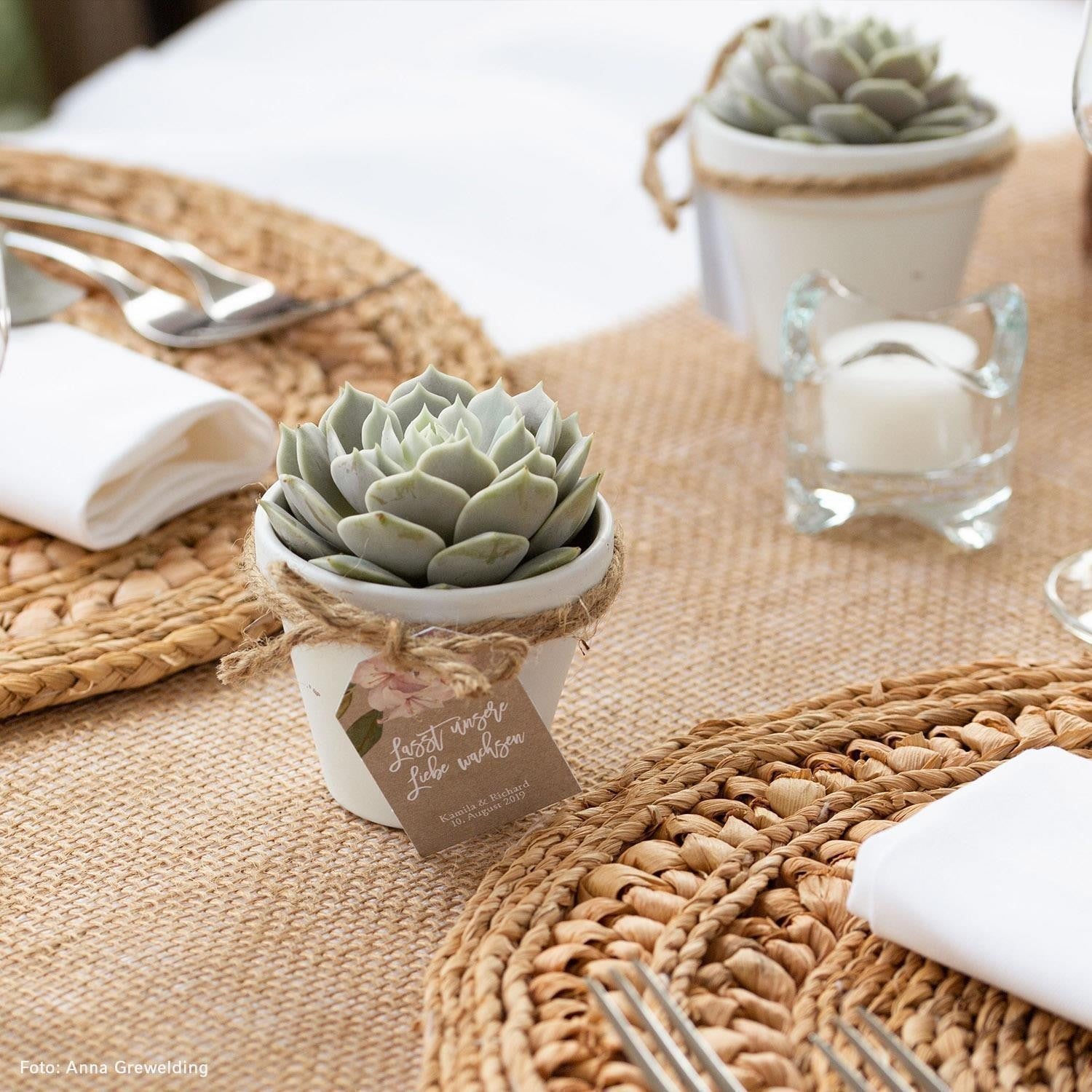 pasiora-sukkulenten-gastgeschenke-set-zum-zusammenstellen image 2