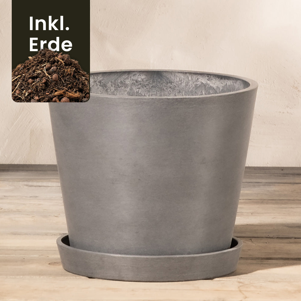 feey-pflanzk-bel-amsterdam-20-cm-kunststoff-mit-drainage image 7