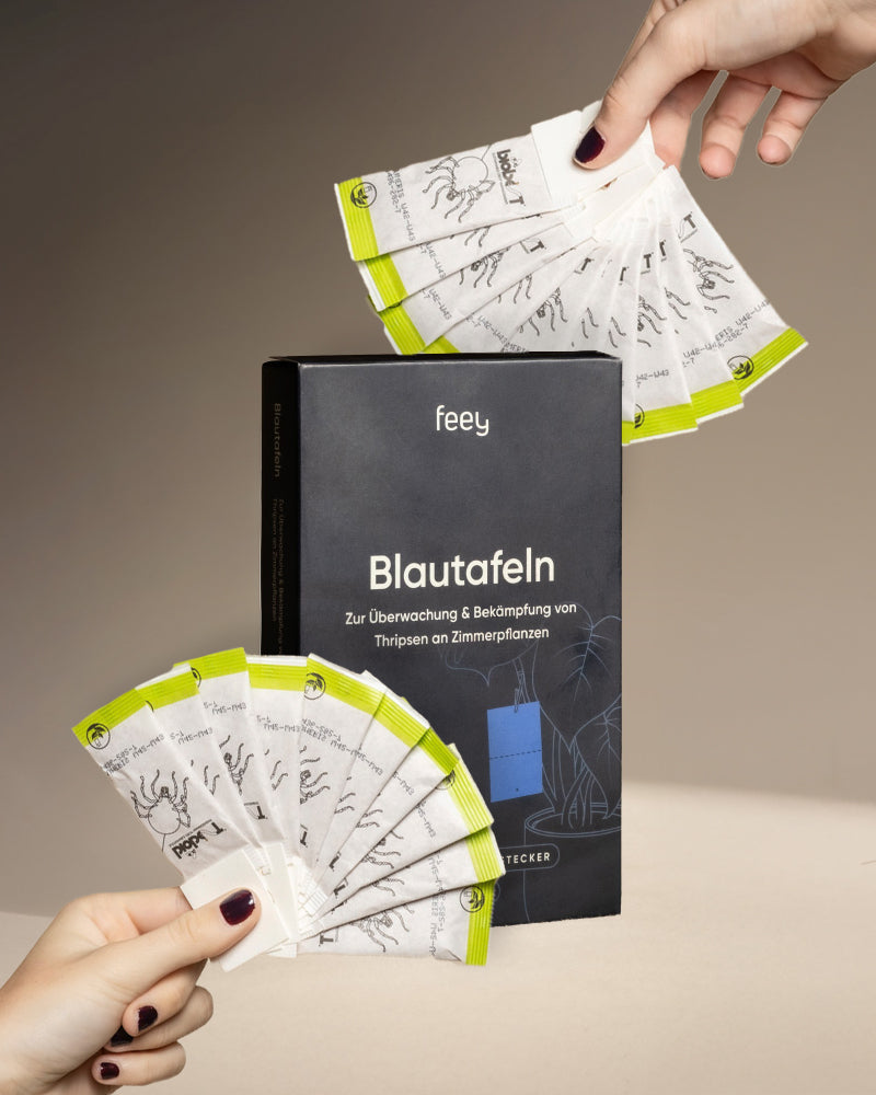feey-bek-mpfungsset-gegen-thripse-blautafeln-raubmilben image 4