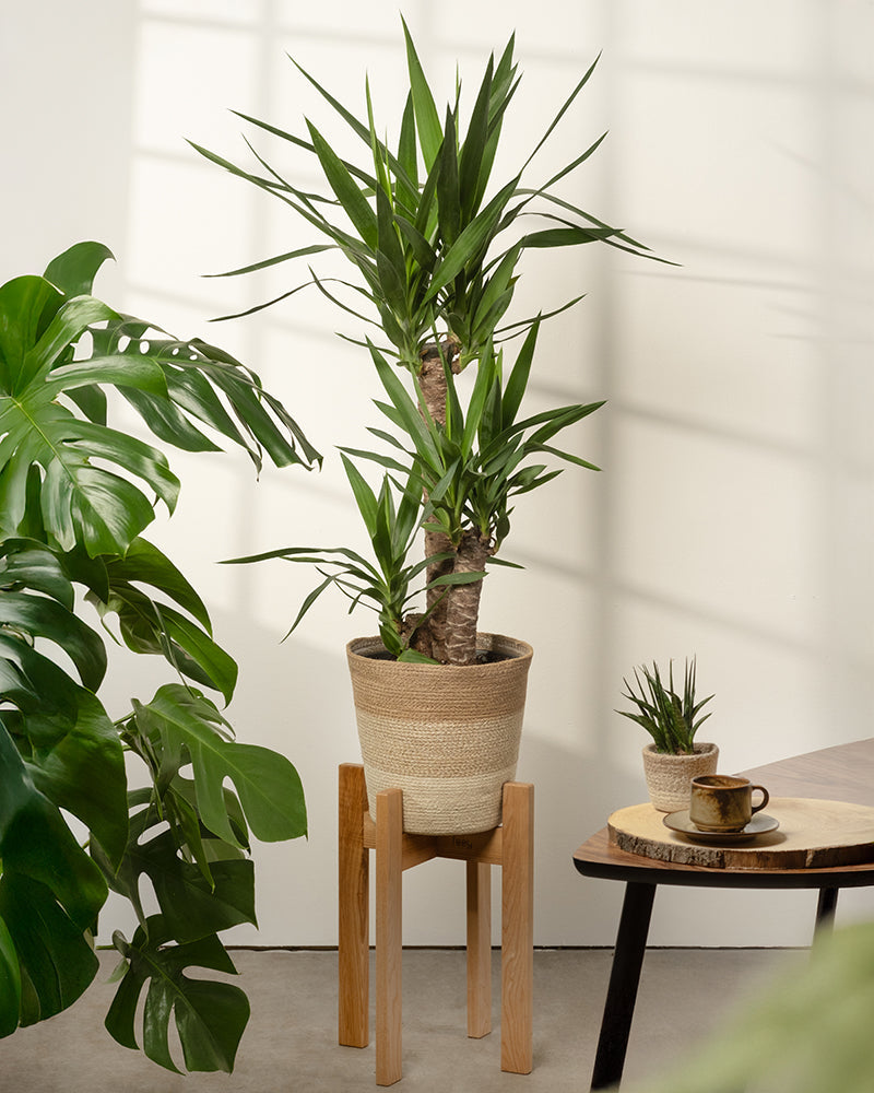 feey-pflanzenkorb-lapis-25-cm-jute-bertopf-mit-einsatz image 4