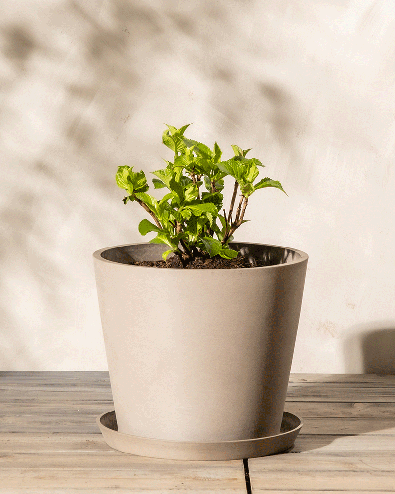 feey-amsterdam-kunststoff-pflanzk-bel-30-cm-durchmesser image 3