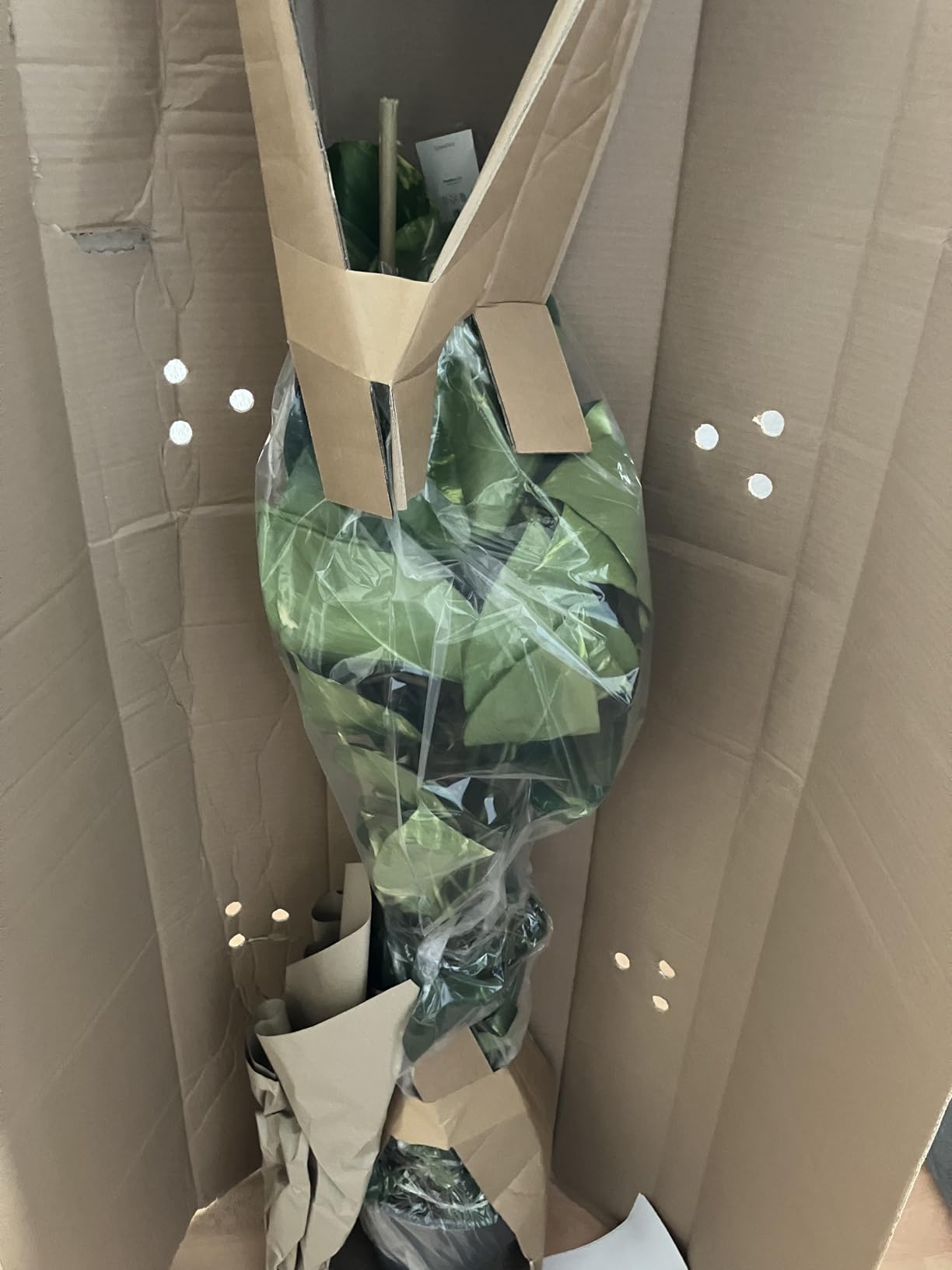 Super Verpackung