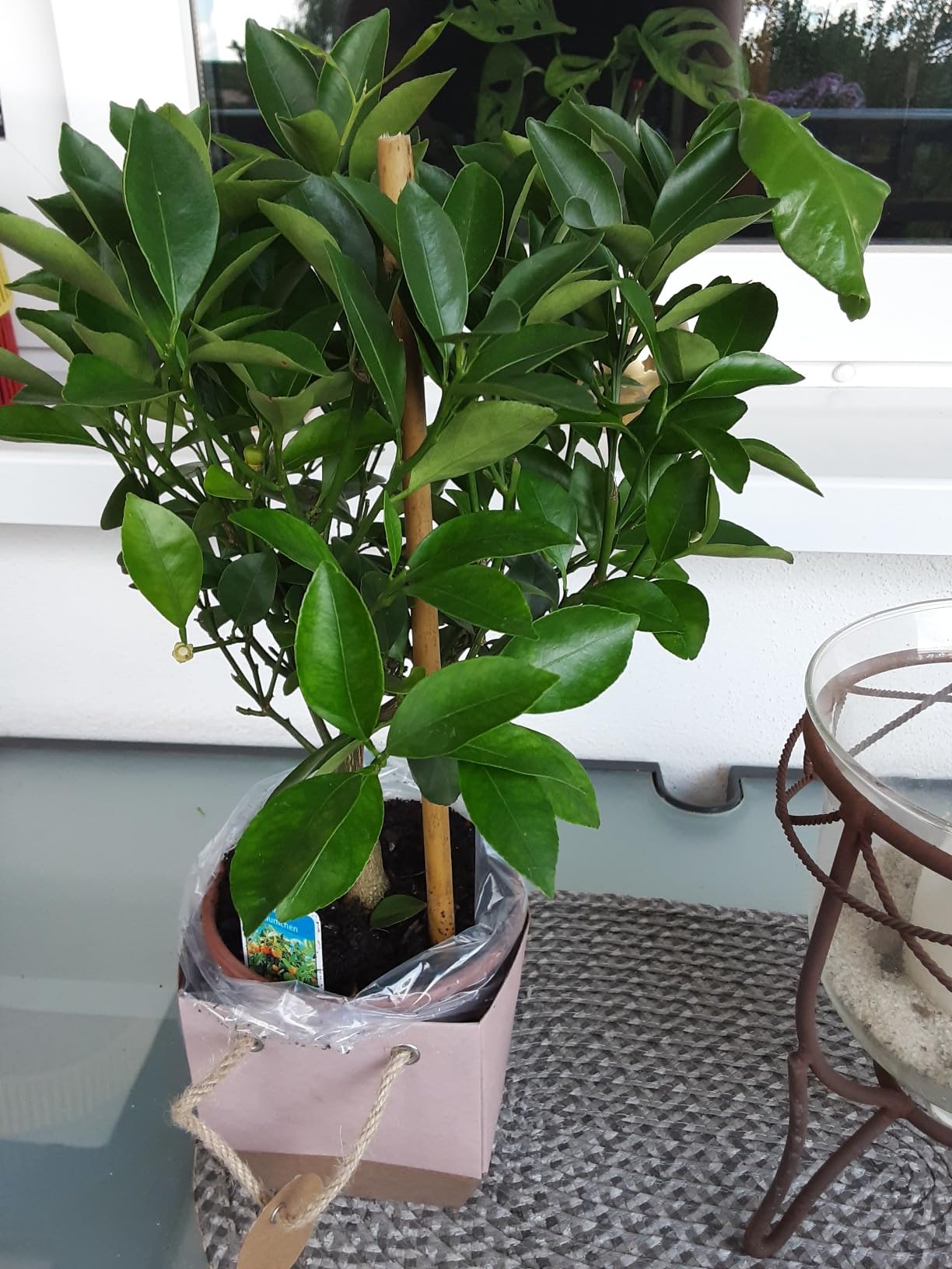 Super Geschenk