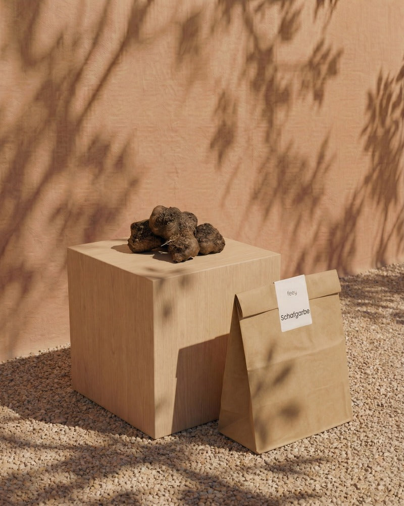 feey-schafgarbe-orange-braun-terracotta-rhizome image 3