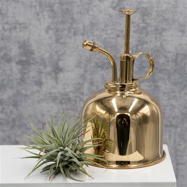 pasiora-premium-pflanzenspr-her-spr-hflasche-f-r-indoor-pflanzen image 4