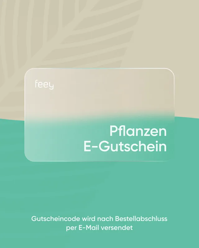 feey-e-gutschein-digital image 1