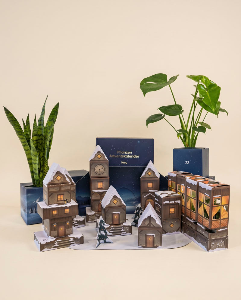 feey-pflanzen-adventskalender-winterdorf-im-abendblau image 3