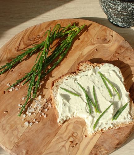 baldur-garten-bio-salzkraut-queller-pflanze-im-12-cm-topf-meeresspargel image 6