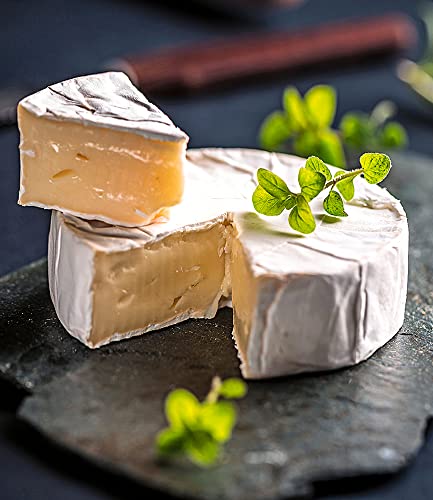 baldur-garten-k-sepflanze-camembert-1-pflanze-im-10-5-cm-topf image 6
