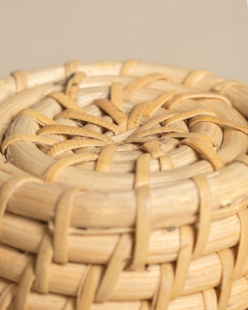 feey-rattan-babypflanzen-korb-calen-3-stk image 7