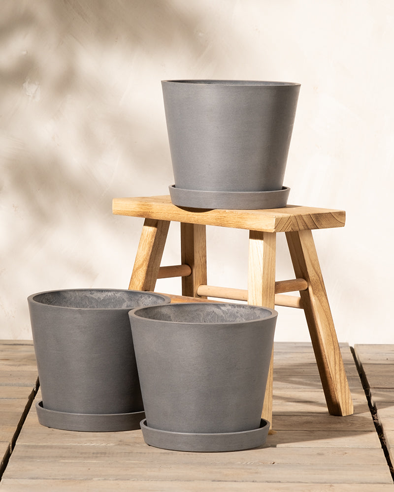 feey-amsterdam-pflanzk-bel-set-3x-20-cm image 6