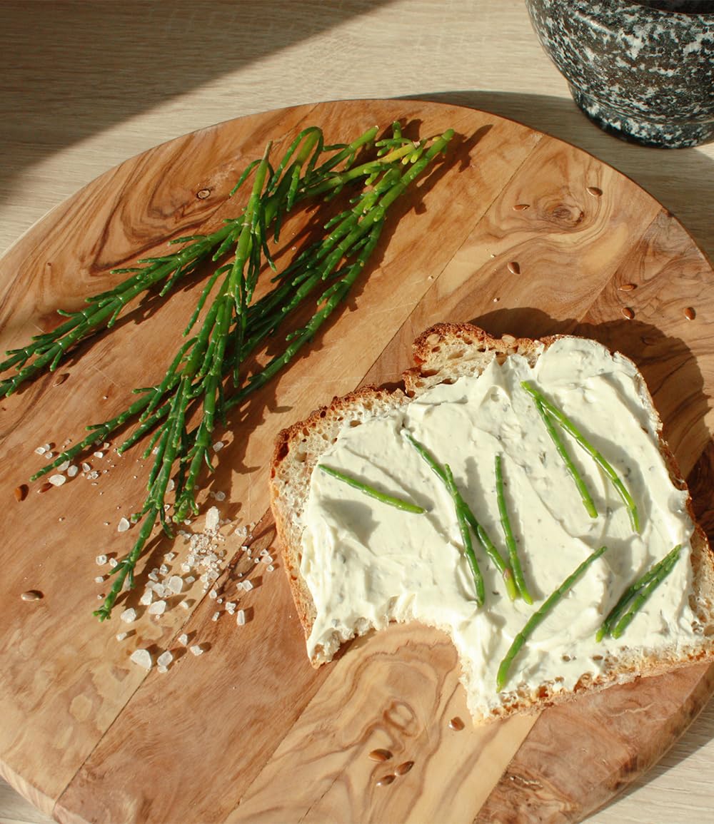 baldur-garten-bio-salzkraut-queller-pflanze-im-12-cm-topf-meeresspargel image 2