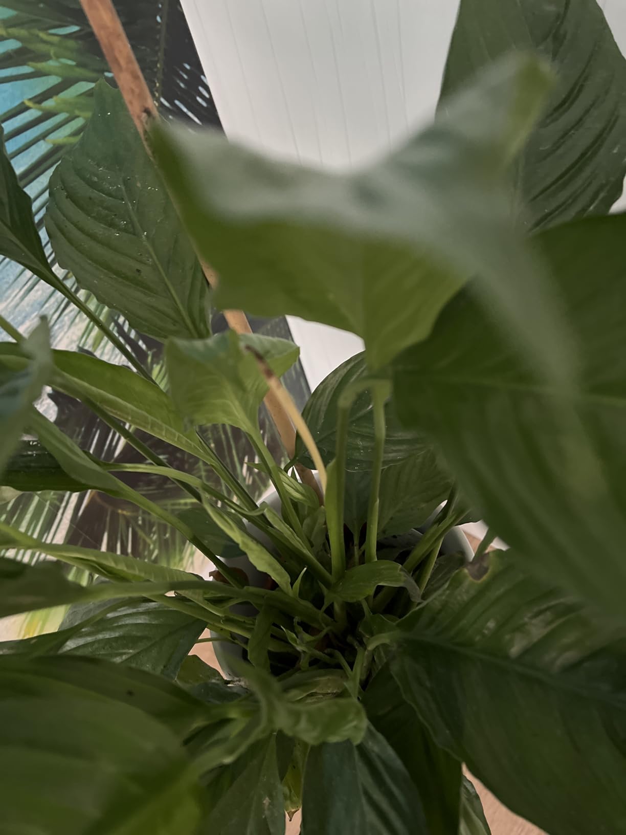 Geschenk für Mama