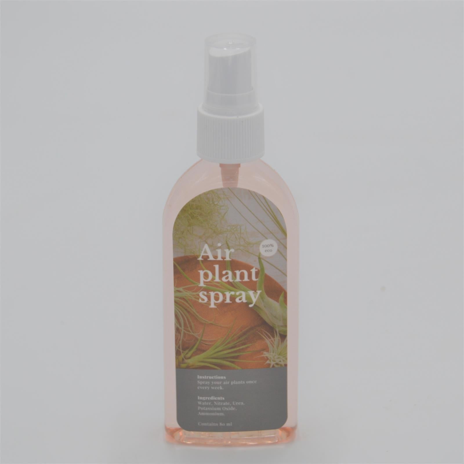 pasiora-air-plant-spray-tillandsiend-nger image 1