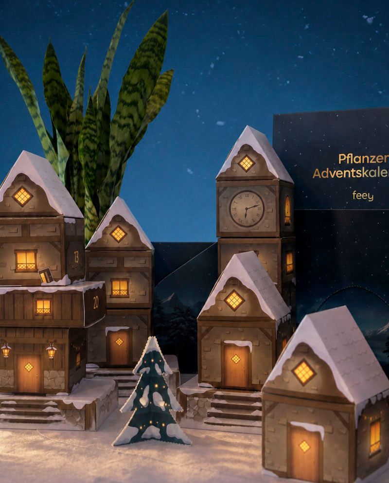 feey-pflanzen-adventskalender-winterdorf-im-abendblau-dschungel-version image 7